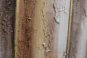 Abstracte gran (detall)
