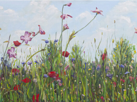 Flors Flors