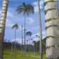 Palmeres